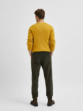Cargar imagen en el visor de la galería, Slimtape-Repton Cord Pants - Forest Night - Selected Homme - Green 2