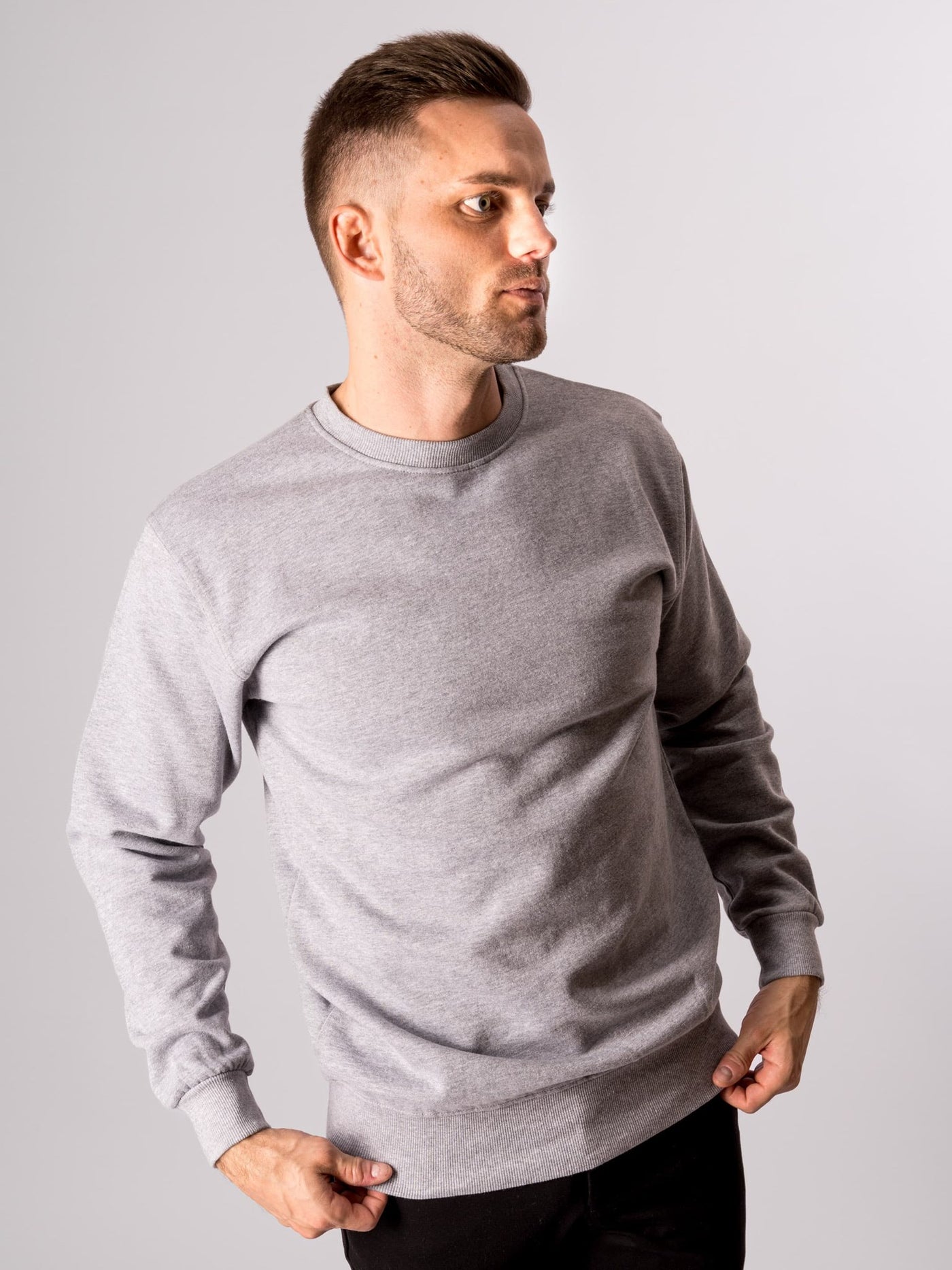 Basic Crewneck - Gray - TeeShoppen - Grey