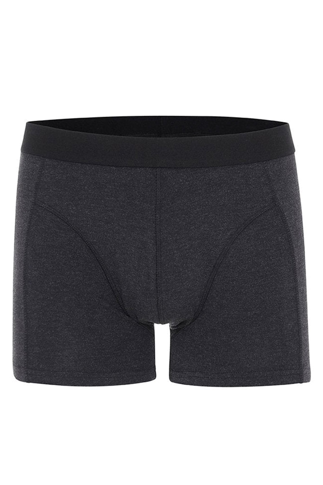 Underpants - Premium Dark Gray - TeeShoppen - Black
